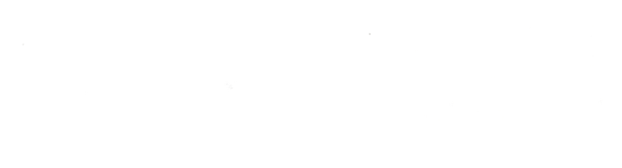 the romantidote
